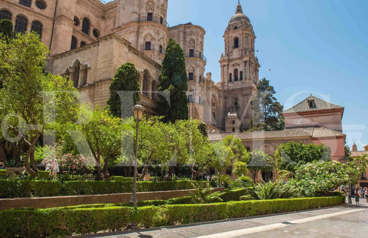 Cozy Apartment Near Plaza De La Merced By Rems Málaga Spanje