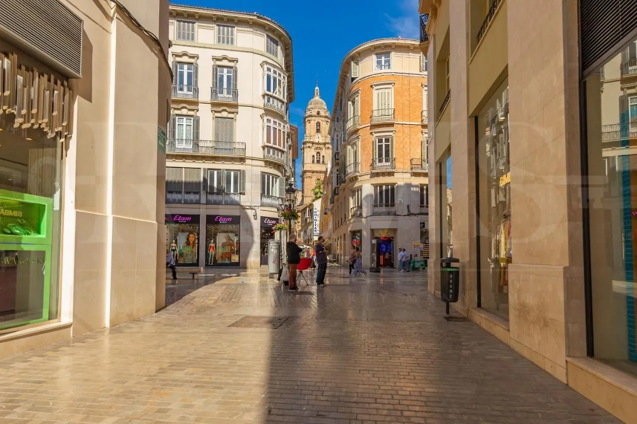 Cozy Apartment Near Plaza De La Merced By Rems Málaga